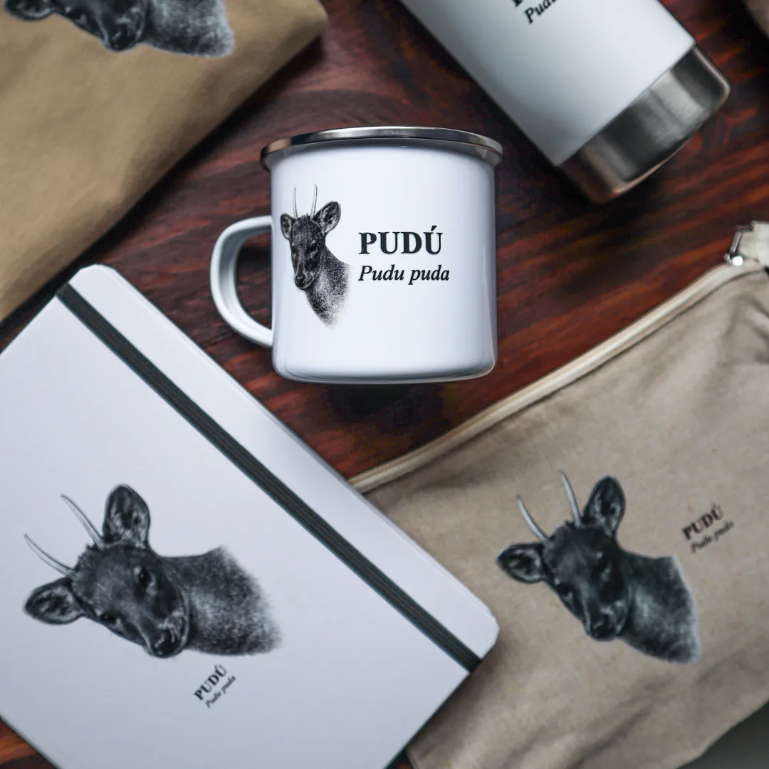 Kit con botella, tazón, libreta y bolsas impresas